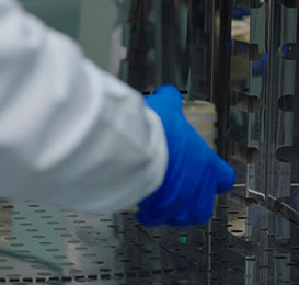 aupu MicrobiologyLaboratory