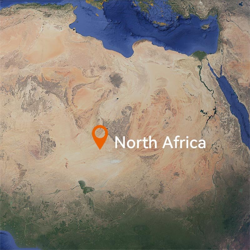 aupu north africa market